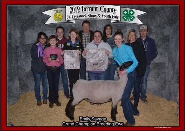 Jr. Agriculture Livestock Show